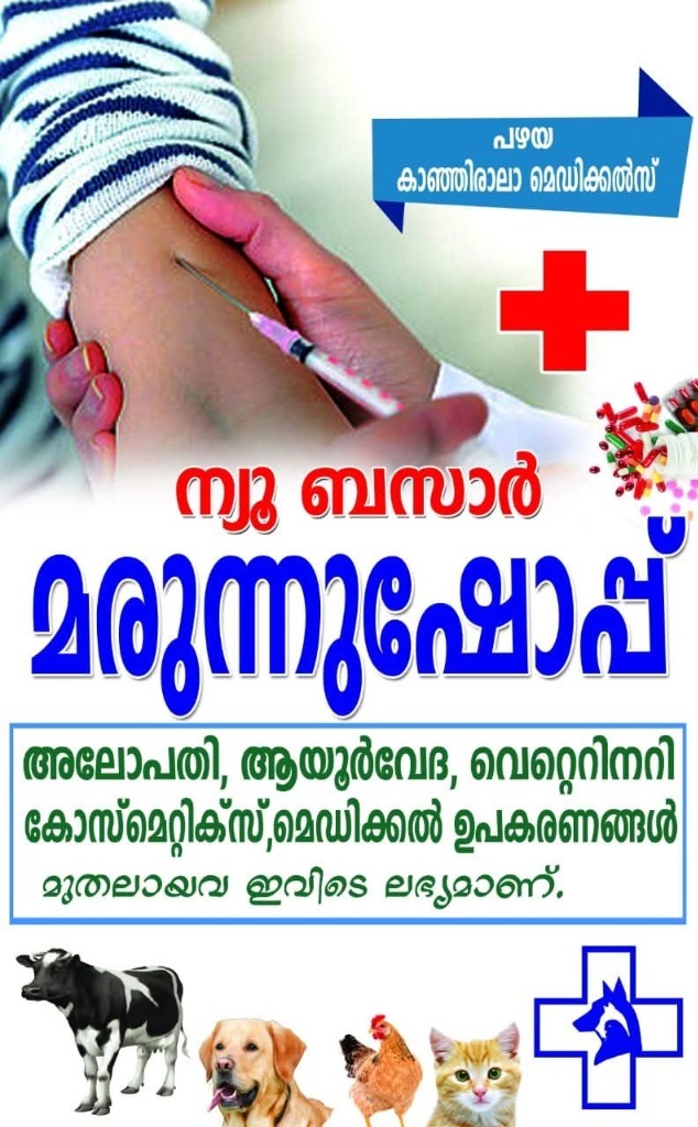 Our Services and Products